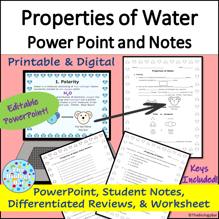 water molecule worksheet