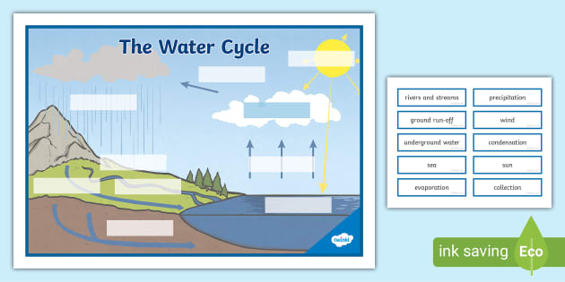 FREE! - Label the Water Cycle Worksheet (Lehrer gemacht)