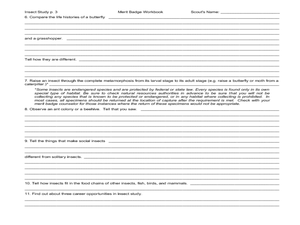 Insect Study: merit badge Worksheet for 5th - 12th Grade | Lesson ...