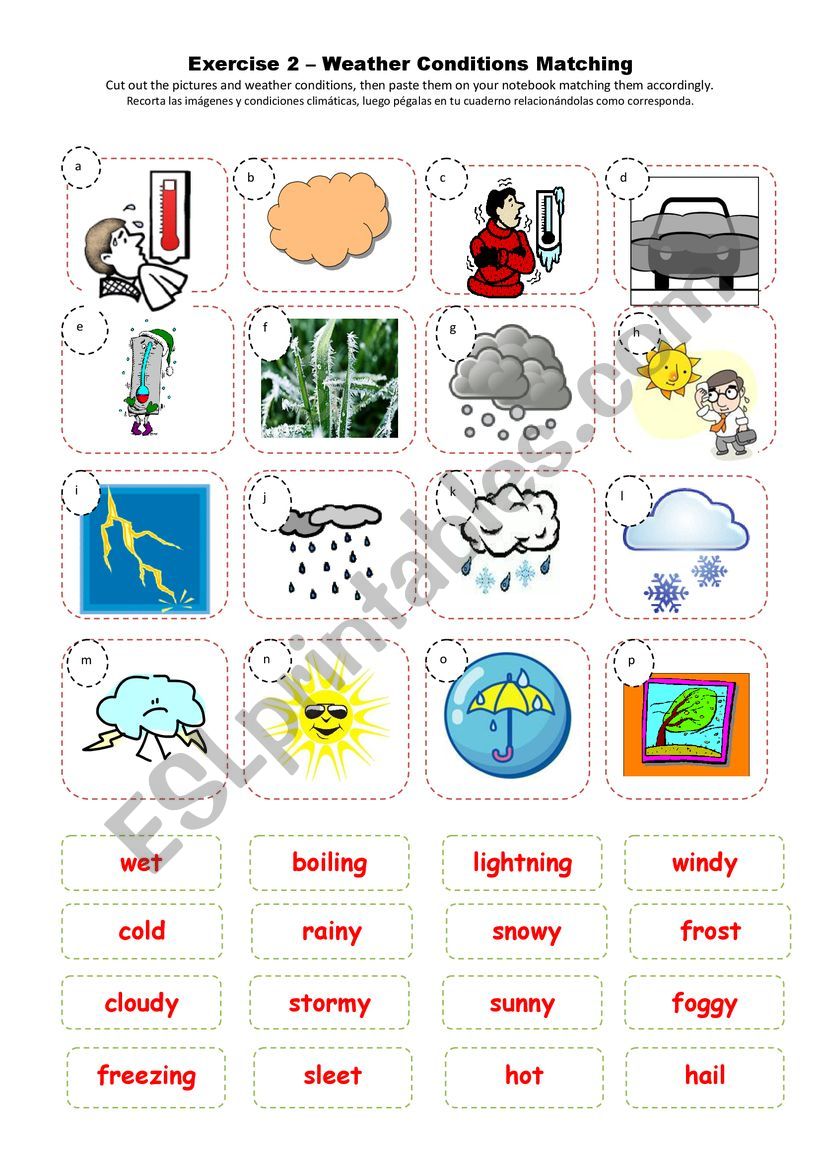 The weather - ESL worksheet by luisa490saenz