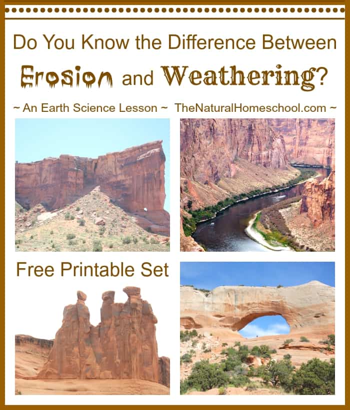 weathering and erosion worksheet for kids