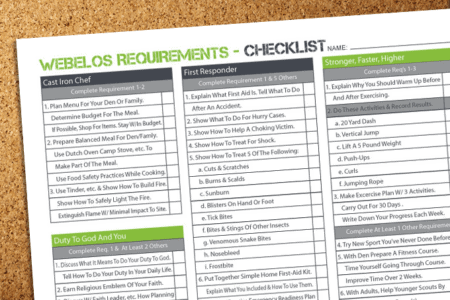 webelos activity badges worksheet