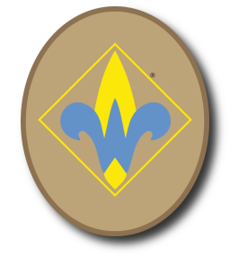 webelos fitness badge worksheet
