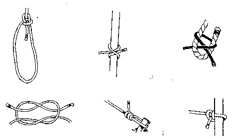 webelos outdoorsman worksheet