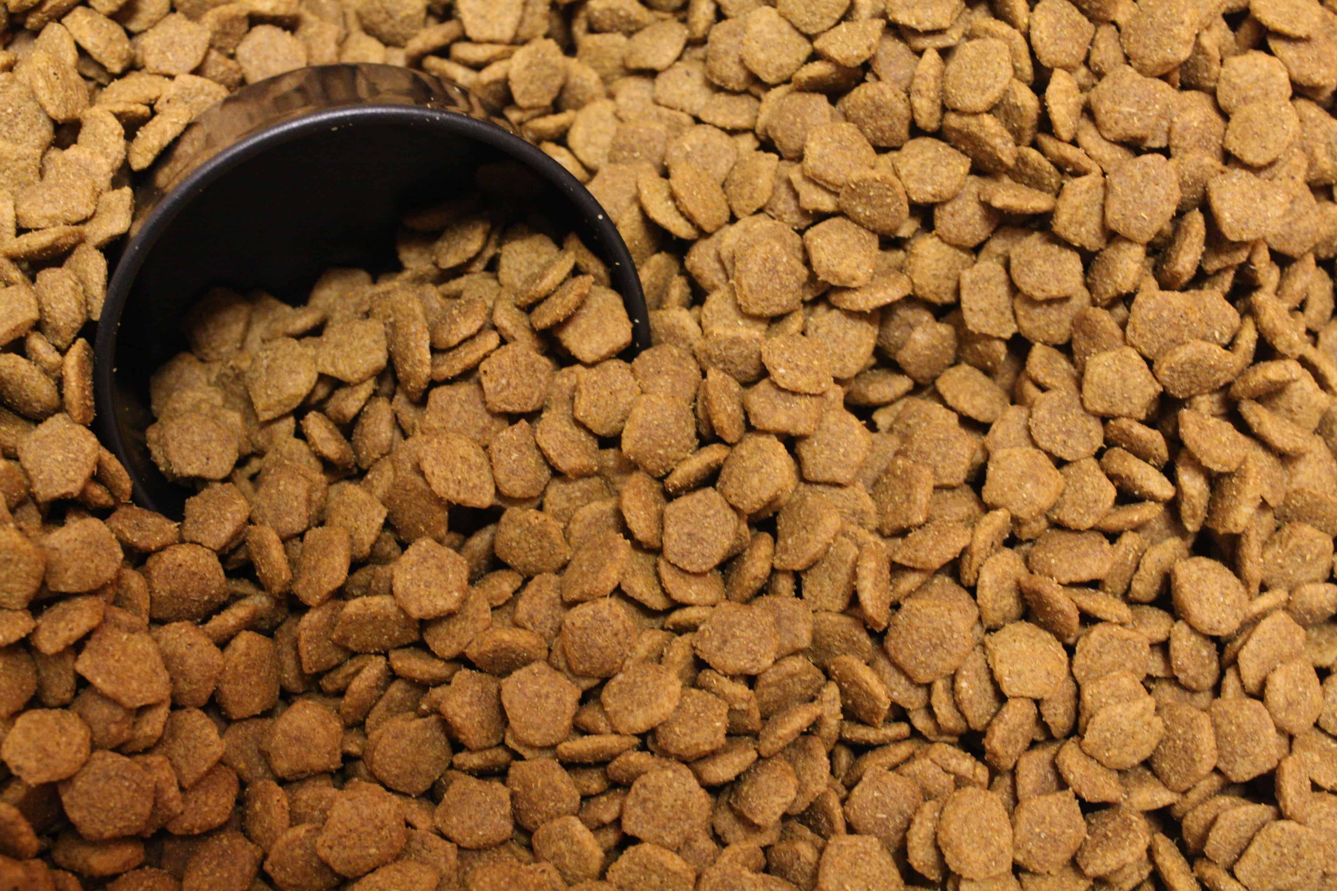 Discounts on Pet Food | Tips To Save On Pet Food