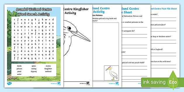 FREE! - Arundel Wetland Centre Activity Pack - Primary Resources