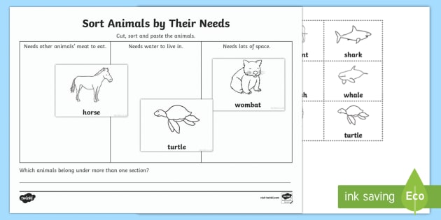 what animals need to survive worksheet