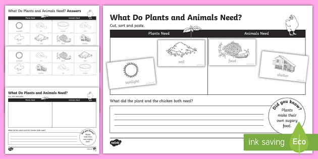 what animals need to survive worksheet
