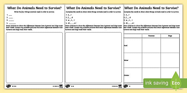What Do Animals Need to Survive? Differentiated Worksheets