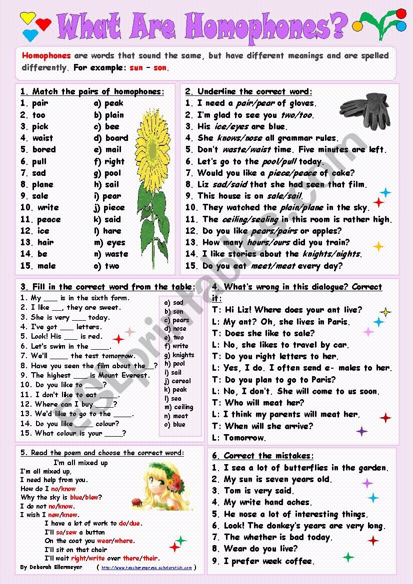 What are Homophones? - ESL worksheet by Tmk939