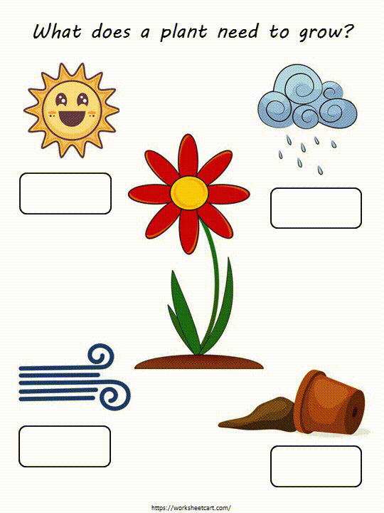 Needs Of Plants Worksheets Worsheets Library Worksheets Library Needs Of Plants Worksheets Worsheets Library Worksheets Library