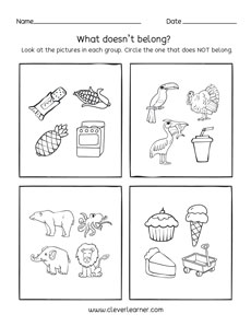 Belonging: Which does not belong to the group preschool activity