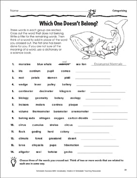 what doesn t belong worksheet
