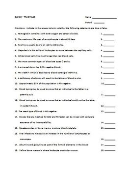 Blood True/False Worksheet by The Teacher Team worksheets library