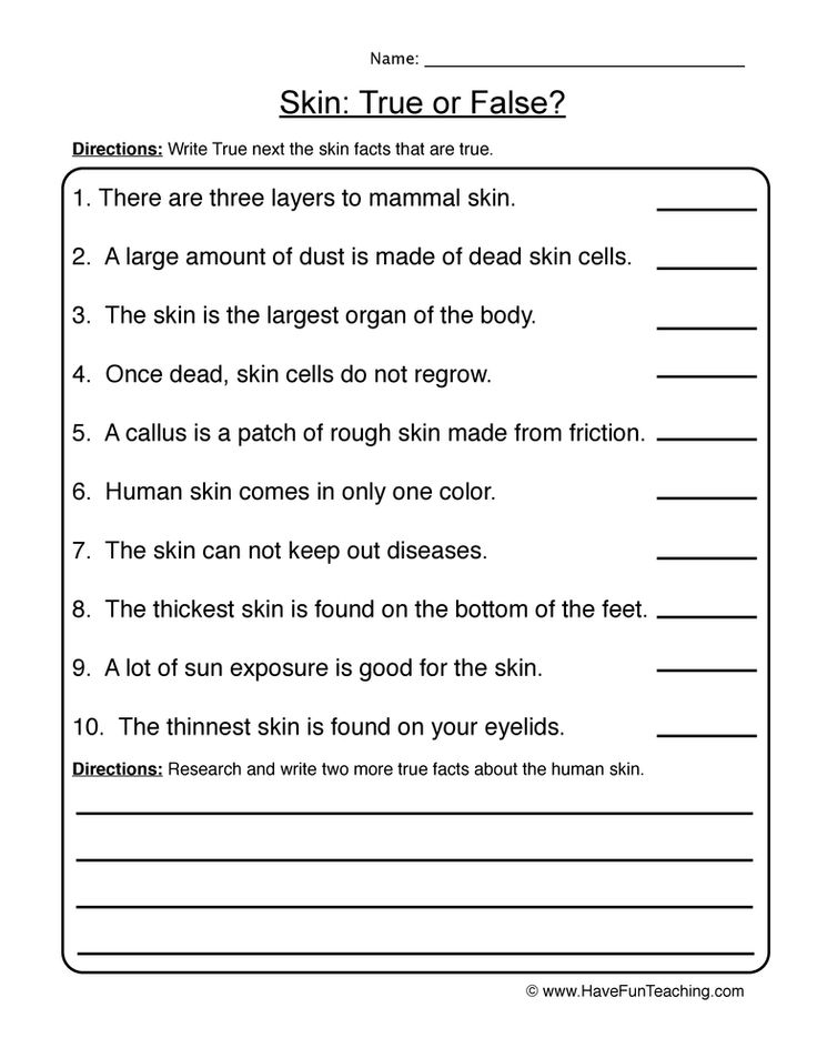 what is a falsehood worksheet answer