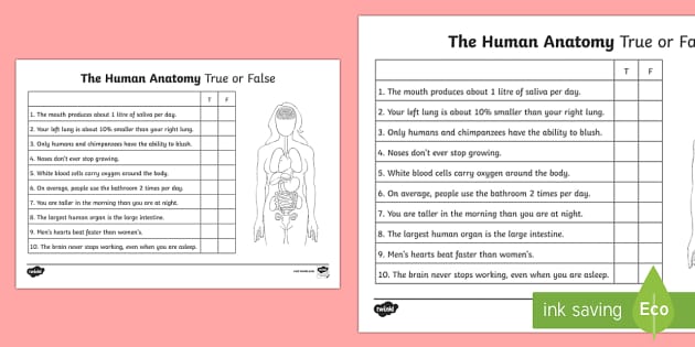 what is a falsehood worksheet answer