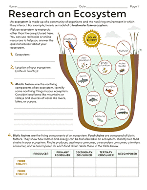 what is an ecosystem worksheet answers