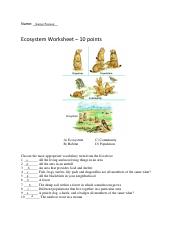 what is an ecosystem worksheet answers