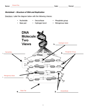 Worksheet Structure Of Dna And Replication - Fill and Sign ...