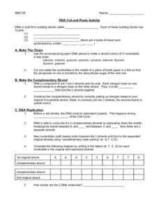 DNA Cut and Paste Activity Worksheet for 9th - 11th Grade | Lesson ...