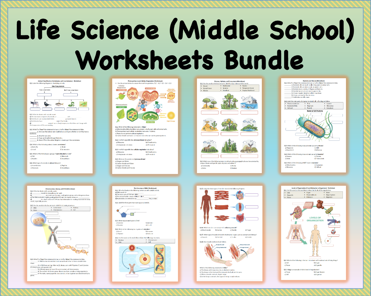 Life Science (Middle School) - Worksheets Bundle | Printable & Distance ...