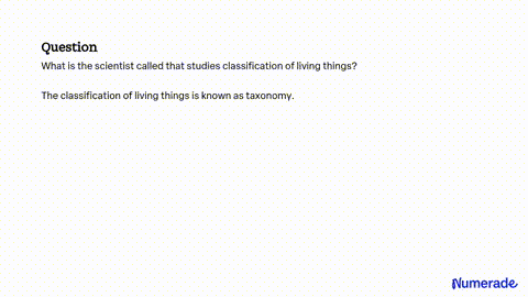 what is the scientific name for the study of shopping worksheet answers