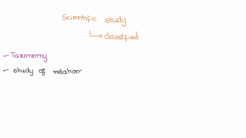 what is the scientific name for the study of shopping worksheet answers