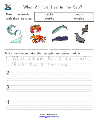 what lives in the sea and yells worksheet answers