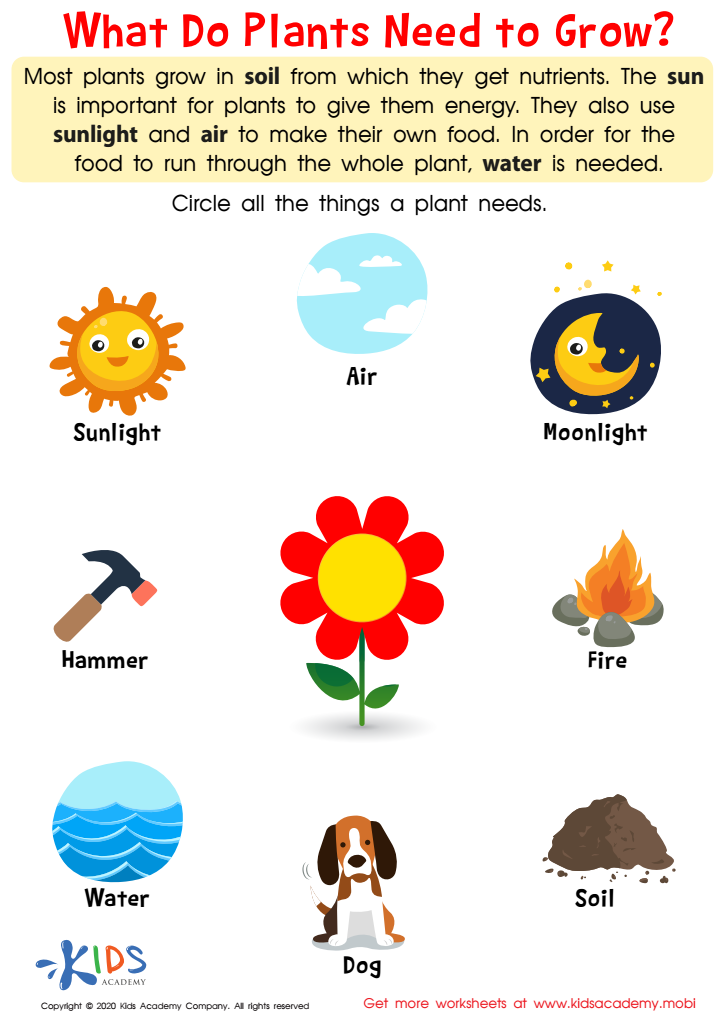 what plants need to grow worksheet for kindergarten