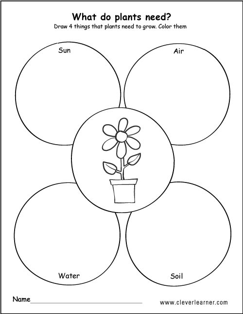 What plants need to grow worksheets for preschools