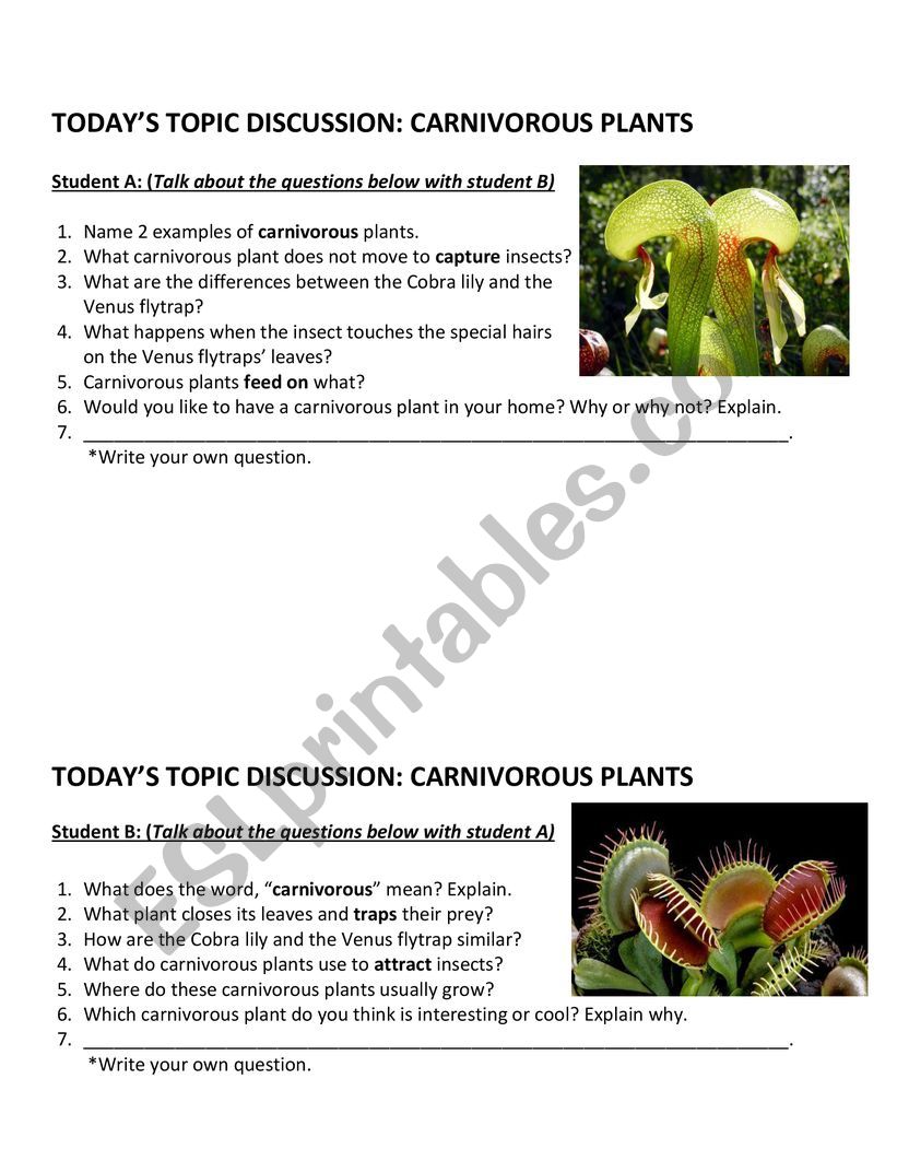Carnivorous Plants Discussion Questions ESL worksheet by abbygail