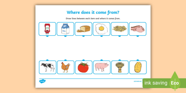 Where Does Food Come From Worksheet (Lehrer gemacht)