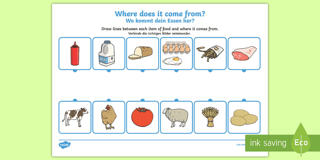 where does food come from worksheet