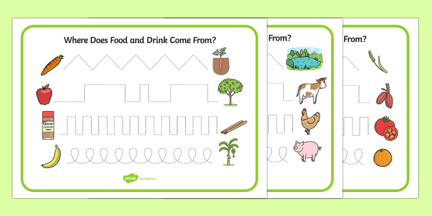 where does food come from worksheet