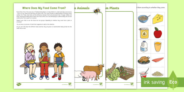 where does food come from worksheet