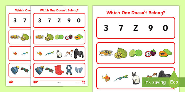 Which One Doesnt Belong Activity (teacher made) - Twinkl