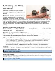 Copy of 6.7 Paternity Lab.pdf - 6.7 Paternity Lab: Whos your ...