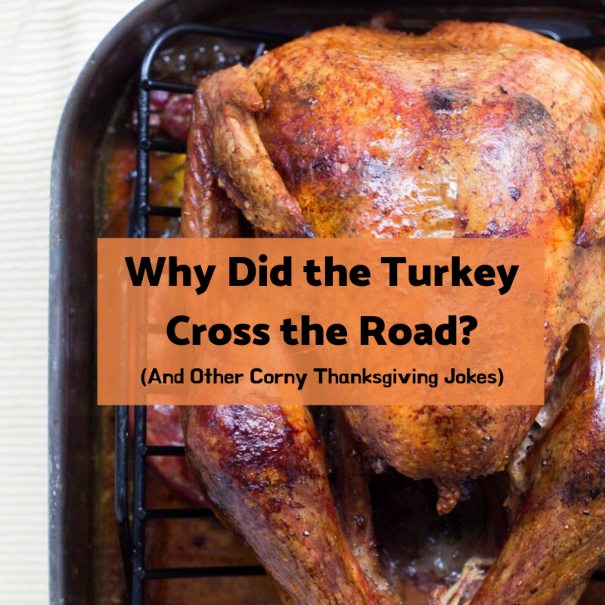 why did the turkey cross the road math worksheet