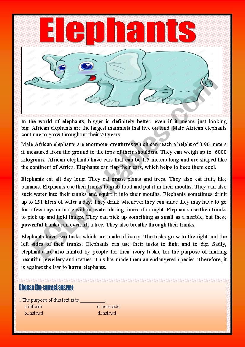 Elephants ESL worksheet by aaisha86 Worksheets Library
