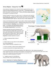 why do elephants have ivory tusks worksheet answers