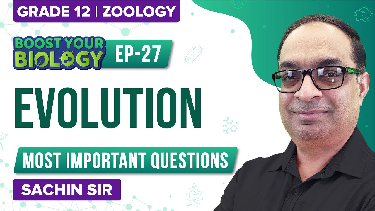 why does evolution matter worksheet answers