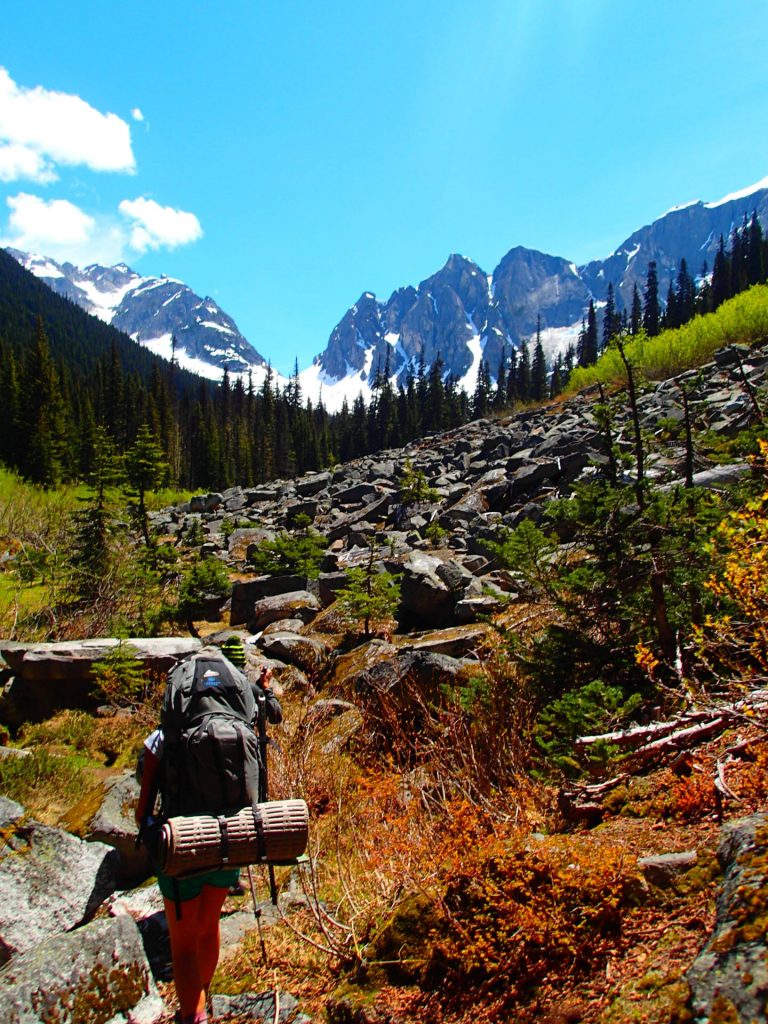wilderness survival