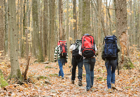 Wilderness Survival Tips: Be Prepared For Your Next Outdoor Adventure
