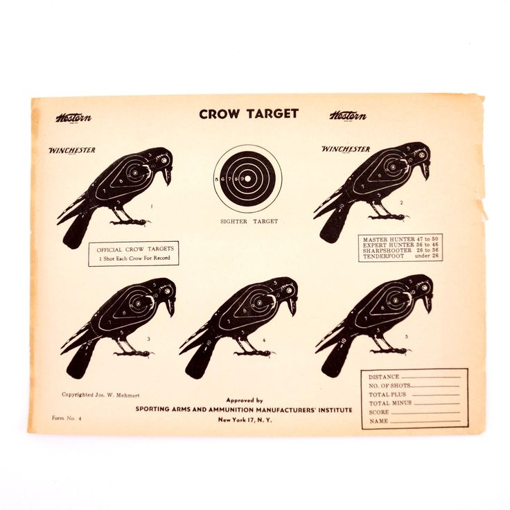 Vintage Winchester Crow Shooting Target, 12 x 9 inches (c.1950s)