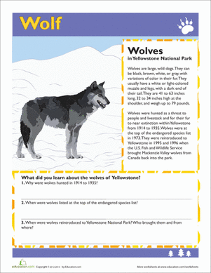 Wolf | Worksheet 