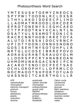 word search worksheet for middle school