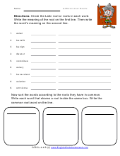 words from latin roots worksheet