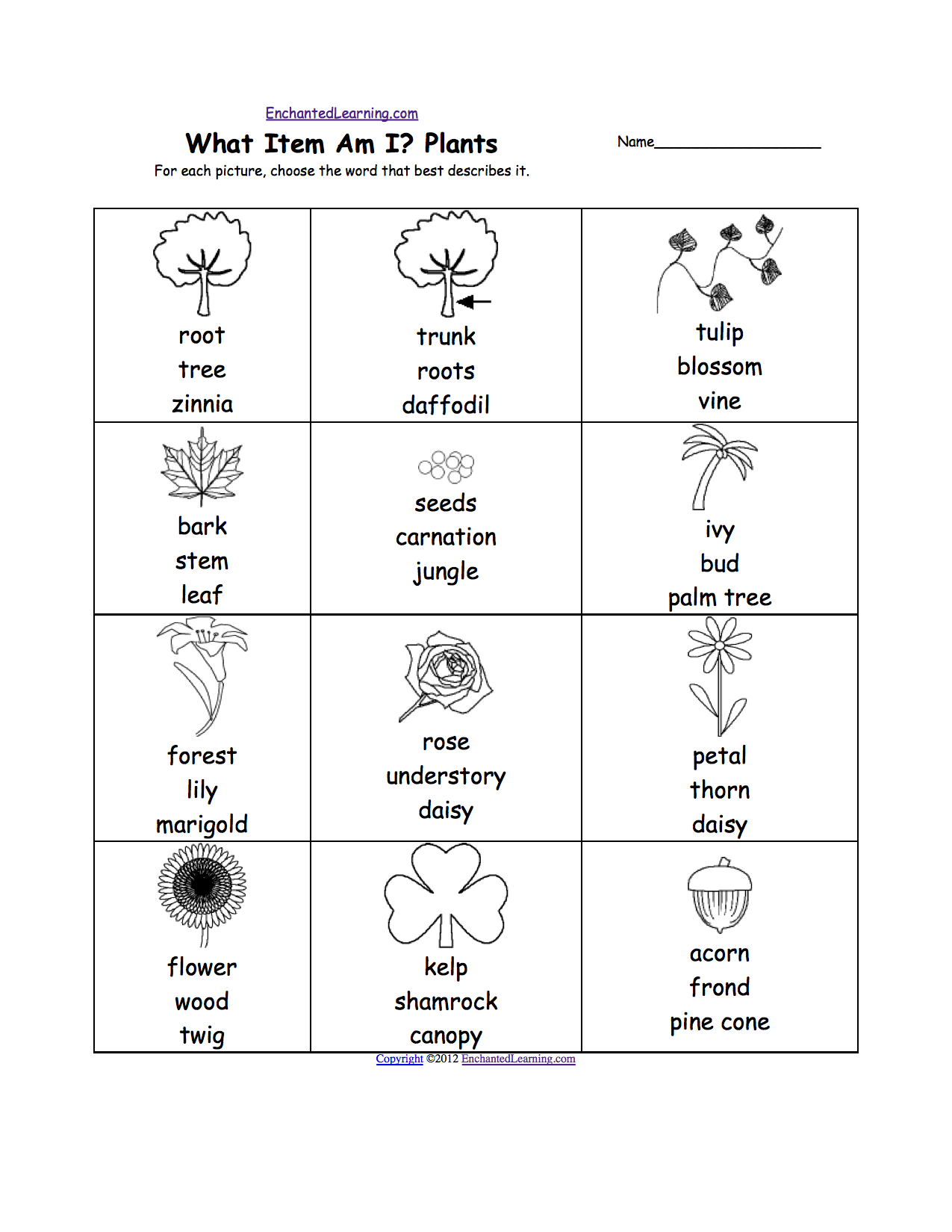 words on the vine worksheet answers