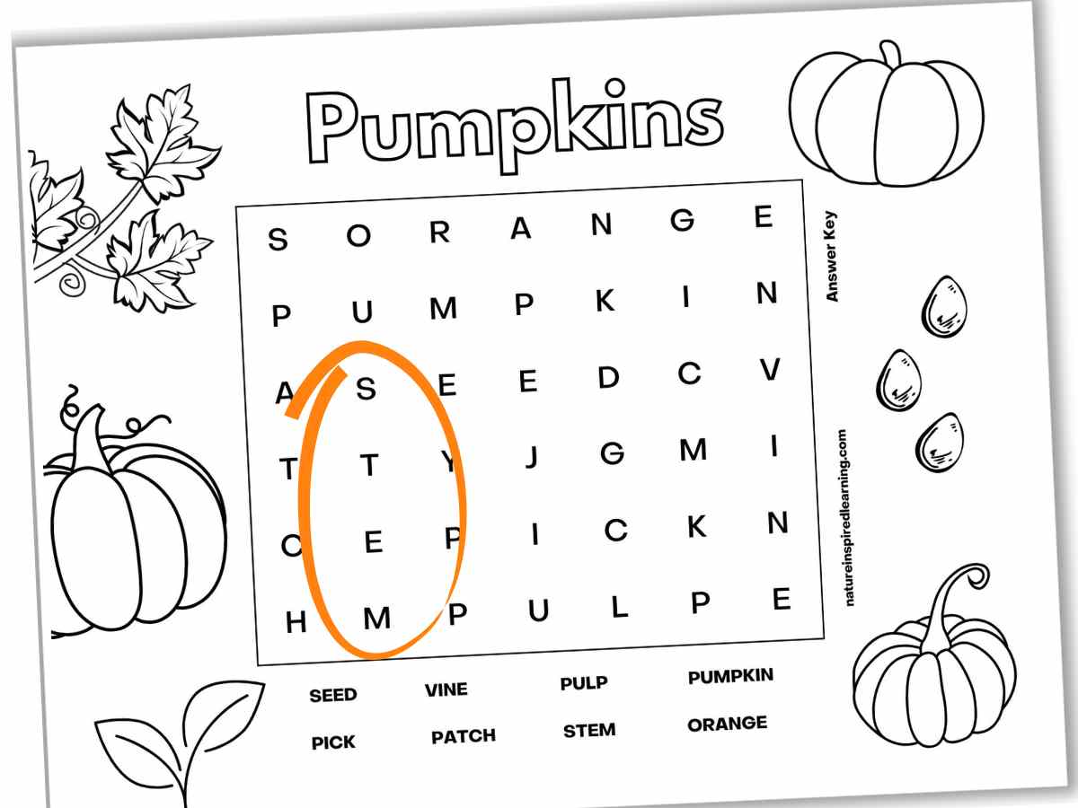 words on the vine worksheet answers