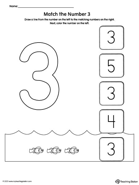 Match the Number Printable Worksheet: 3 | MyTeachingStation.com